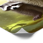 Raccoon Family Wildlife Portrait   ポスター (角)