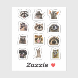 Raccoon Meme Funny Sticker Set Bundle シール