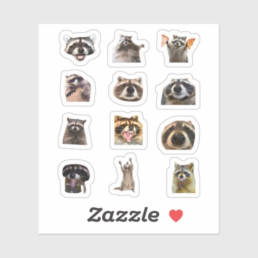 Raccoon Meme Funny Sticker Set Bundle シール (シート)