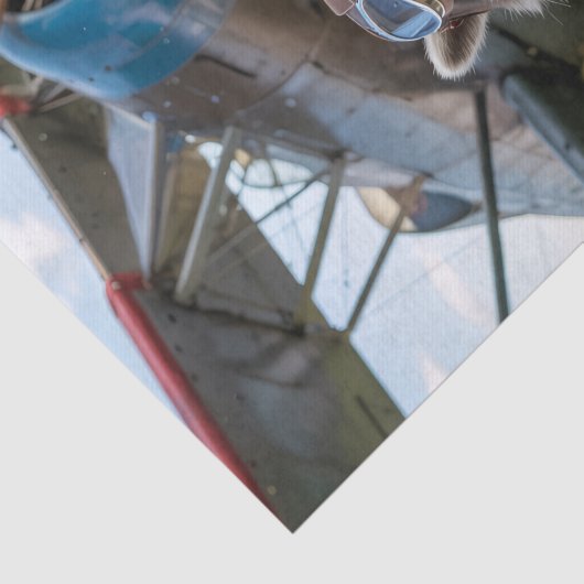 Raccoon Pilot Airplane Funny Birthday Decoupage 薄葉紙 (詳細)