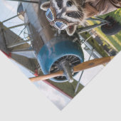 Raccoon Pilot Airplane Funny Photo Birthday 薄葉紙 (詳細)