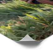 Raccoon Pilot Airplane Funny Wildlife Animal ポスター (角)