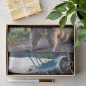 Raccoon Pilot Airplane Funny Wildlife Animal 薄葉紙 (ギフト)