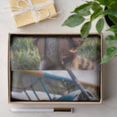 Raccoon Pilot Airplane Funny Wildlife Animal 薄葉紙 (ギフト)