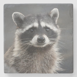 Raccoon Portrait Stone Coaster ストーンコースター