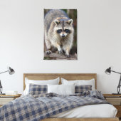 Raccoon, Procyon lotor, Florida, USA 2 キャンバスプリント (インサイチュ (寝室))