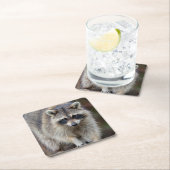 Raccoon, Procyon lotor, Florida, USA 2 スクエアペーパーコースター (インサイチュ)