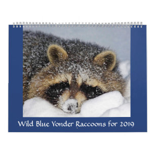 Raccoon Rescue & Release at Wild Blue Yonder 2019 カレンダー