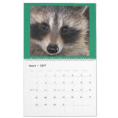 Raccoon Rescue & Release at Wild Blue Yonder 2019 カレンダー (3月 2027)