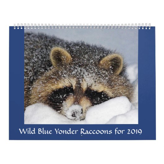 Raccoon Rescue & Release at Wild Blue Yonder 2019 カレンダー (カバー)