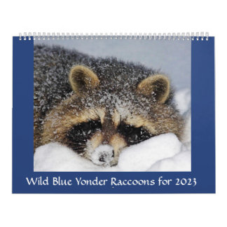 Raccoon Rescue & Release at Wild Blue Yonder 2023 カレンダー