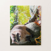 Raccoon Stanley Park Vancouver. ジグソーパズル (縦)