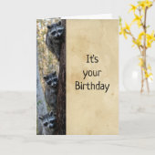 Raccoons & Iここでハッピーバースデーユーモアを望む カード (黄色い花)