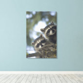 Raccoons Procyon Lotor) of Fish Lake, Central キャンバスプリント (インサイチュ (ウッドフロア))