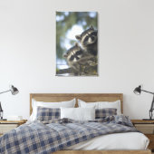 Raccoons Procyon Lotor) of Fish Lake, Central キャンバスプリント (インサイチュ (寝室))