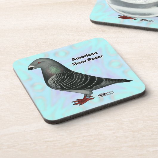 Racer ASRの表示 コースター (左側)