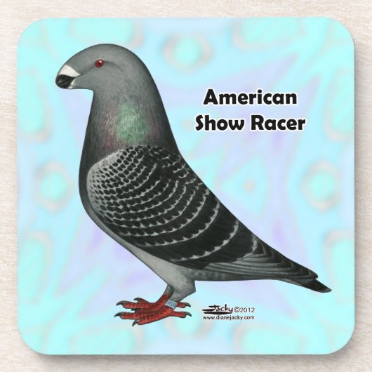 Racer ASRの表示 コースター (正面)