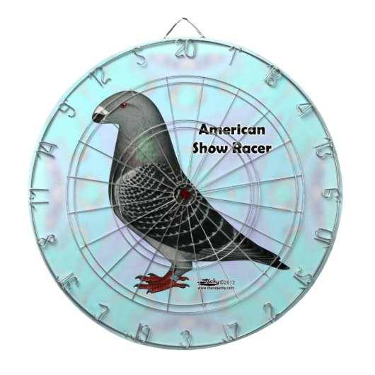 Racer ASRの表示 ダーツボード (正面)