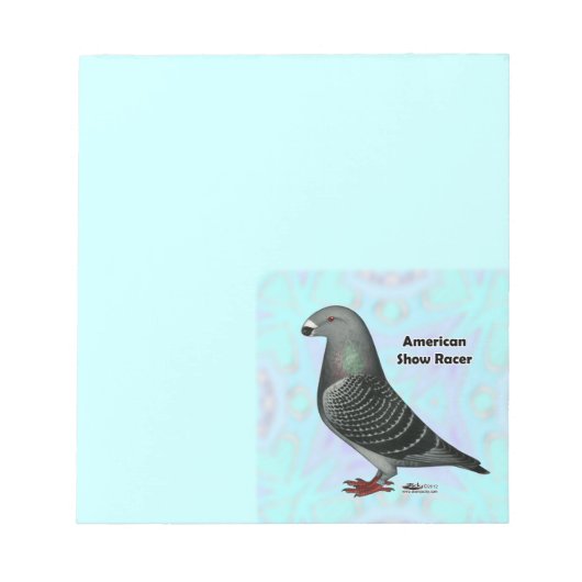 Racer ASRの表示 ノートパッド (正面)