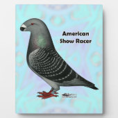 Racer ASRの表示 フォトプラーク (正面)