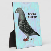 Racer ASRの表示 フォトプラーク (側面)