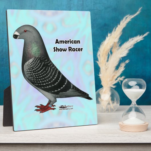 Racer ASRの表示 フォトプラーク (側面)