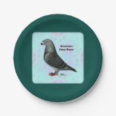 Racer ASRの表示 ペーパープレート (正面)