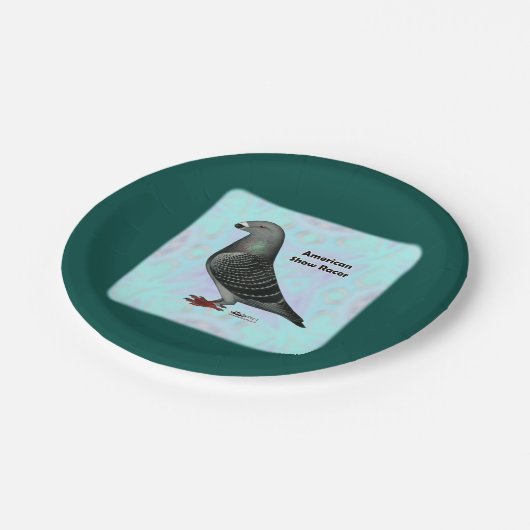 Racer ASRの表示 ペーパープレート (アングル)