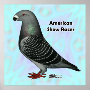 Racer ASRの表示 ポスター
