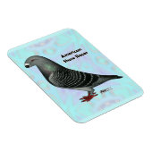 Racer ASRの表示 マグネット (右側)