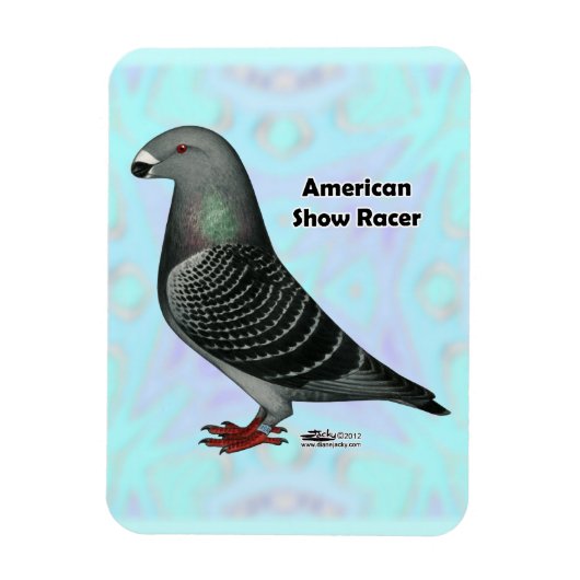 Racer ASRの表示 マグネット (縦)