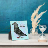 Racer ASRを表示 フォトプラーク (インサイチュ)