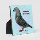 Racer ASRを表示 フォトプラーク (正面)