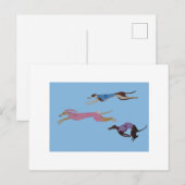 Racing Greyhounds with lead dog in Bunny suit ポストカード (正面/裏面)