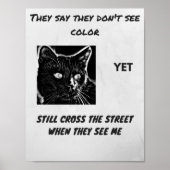 Racism superstition black cat quote ポスター (正面)