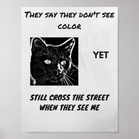 Racism superstition black cat quote ポスター (正面)