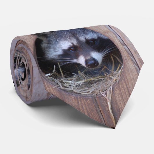 RACOON WASCHBÄR / Foto: Jean-Louis Glineur ネクタイ (ロール)