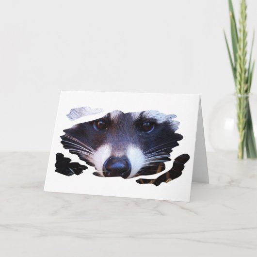 RACOON WASCHBÄR - Photography Jean-Louis Glineur カード (正面)