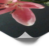 Radiant Grace:  Pink Lilies in Bloom ポスター (角)