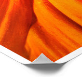 Radiant Orange Flower Macro Wall Art Print Photo ポスター (角)
