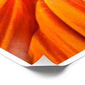 Radiant Orange Flower Macro Wall Art Print Photo ポスター (コーナー)