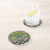 Radiant Succulent Bloom コースター (側面)