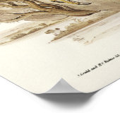 Radiated Goshawk by Elizabeth Gould ポスター (角)