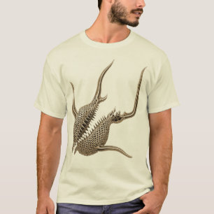 Radiolaria Tシャツ