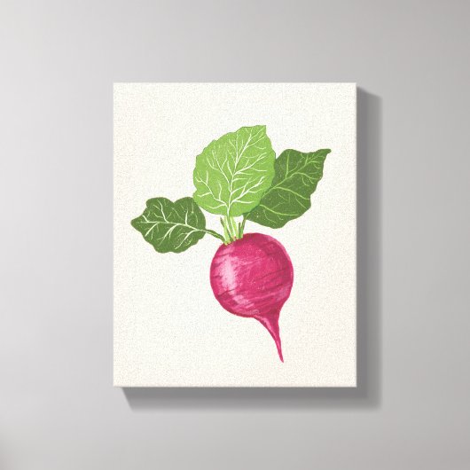 Radish kitchen wall decor (vegetable illustration) キャンバスプリント (正面)