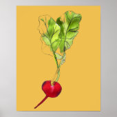 Radish vegetable illustration watercolour art ポスター (正面)