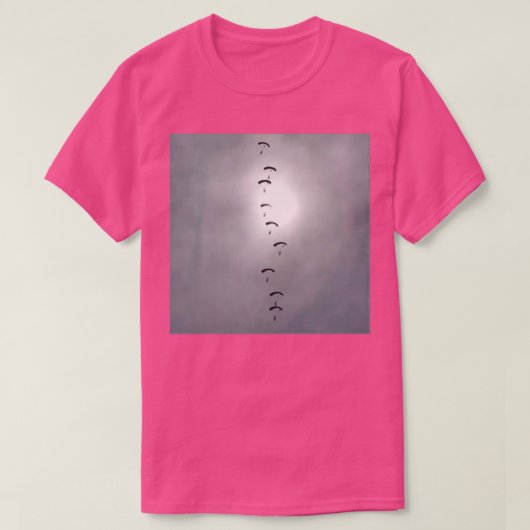 RAF《鳥》ハヤブサパラシュートディスプレイ Tシャツ (デザイン正面)