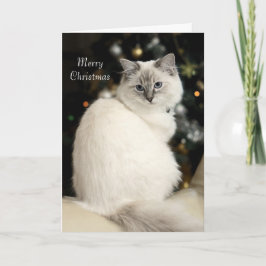 Ragdollのクリスマスカード シーズンカード