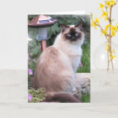 ragdollのポートレートカード カード (黄色い花)