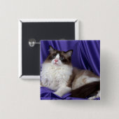 Ragdollの二色シール 缶バッジ (正面&裏面)